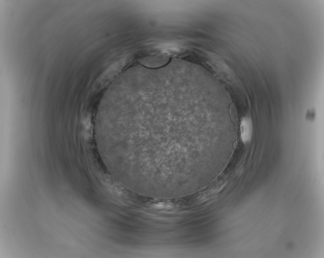 X0000090471395200707272248