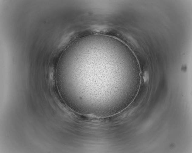 X0000090471396200707272248