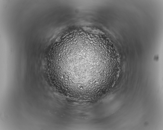 X0000090471397200707272248