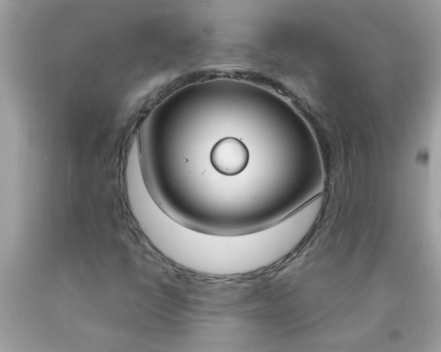 X0000090471398200707272248