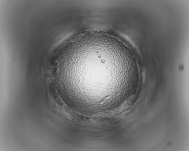 X0000090471399200707272248