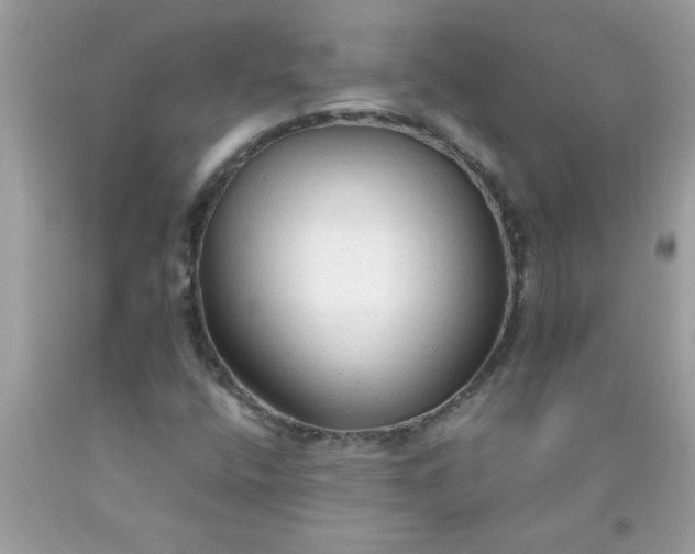 X0000090471400200707272248