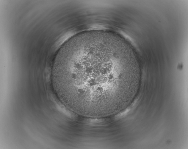 X0000090471401200707272248