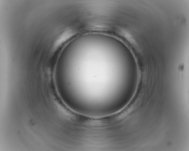 X0000090471402200707272248