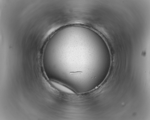 X0000090471404200707272248