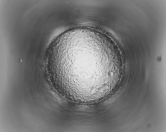 X0000090471405200707272248