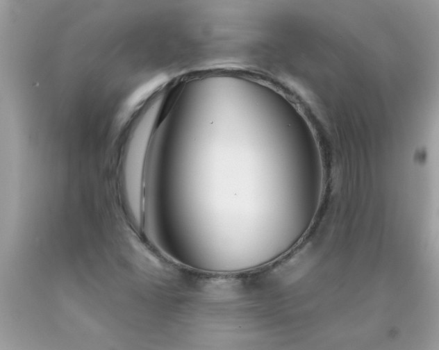 X0000090471406200707272248