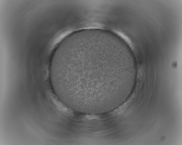 X0000090471407200707272248