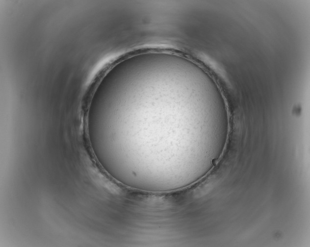 X0000090471408200707272248