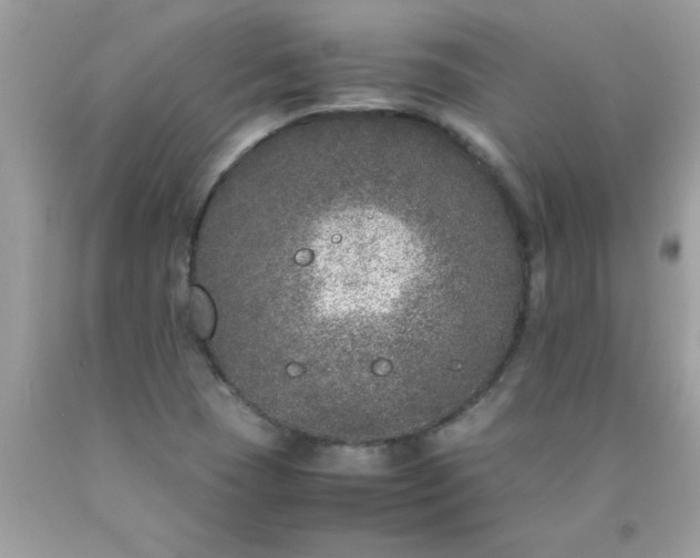 X0000090471409200707272248