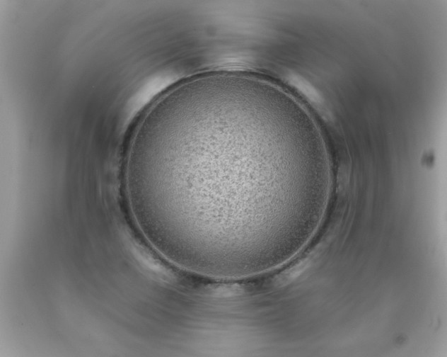 X0000090471410200707272248