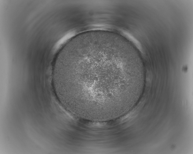 X0000090471411200707272248