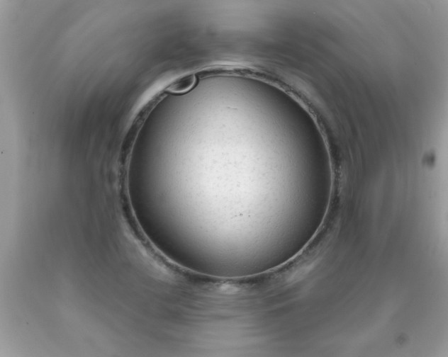 X0000090471412200707272248