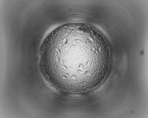 X0000090471413200707272248