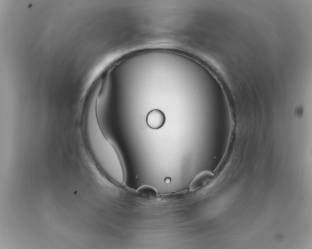 X0000090471414200707272248