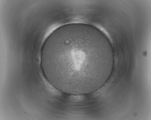 X0000090471415200707272248