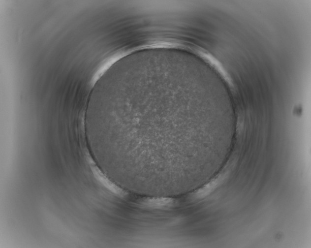 X0000090471417200707272248