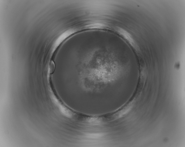 X0000090471418200707272248