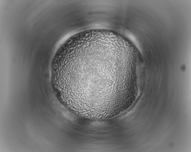 X0000090471419200707272248