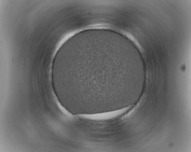 X0000090471421200707272248