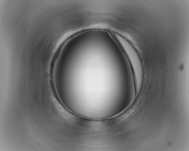 X0000090471422200707272248