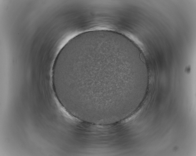 X0000090471423200707272248