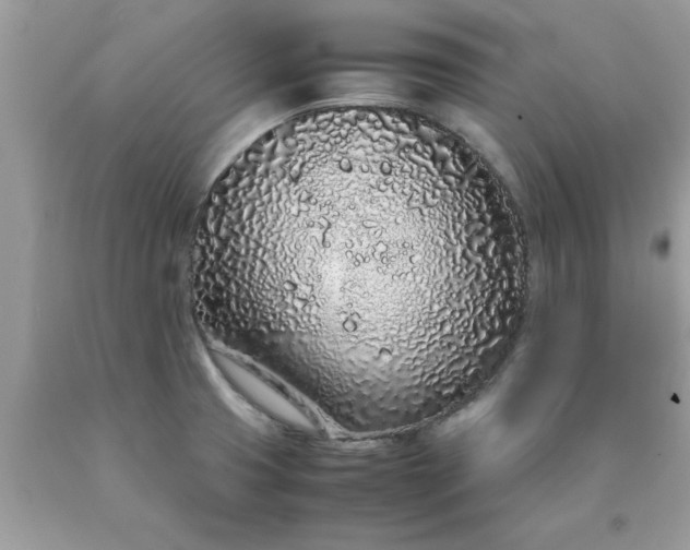 X0000090471425200707272248