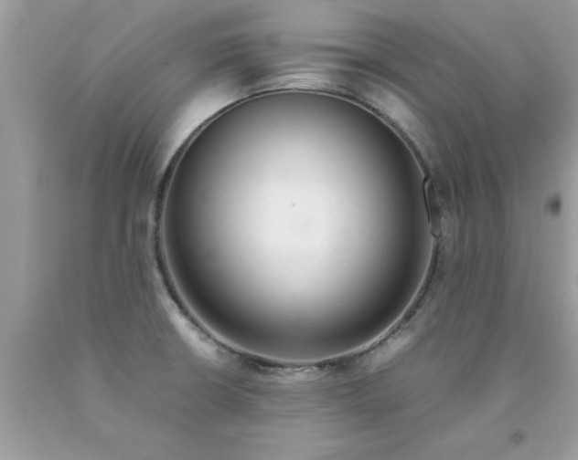 X0000090471426200707272248