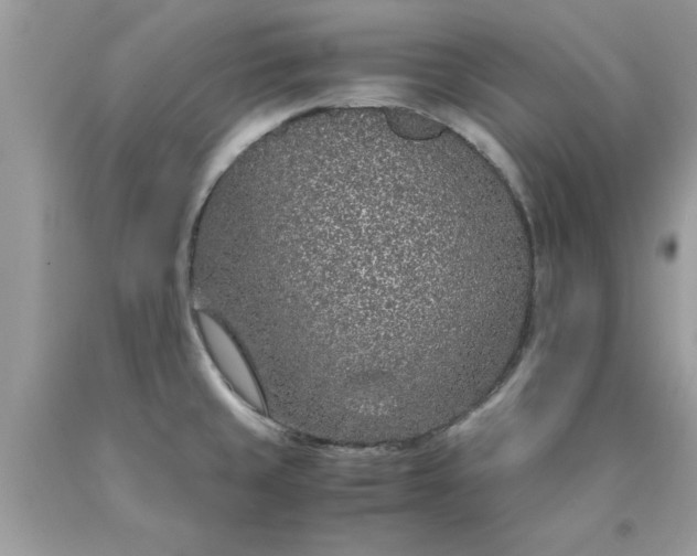 X0000090471429200707272248