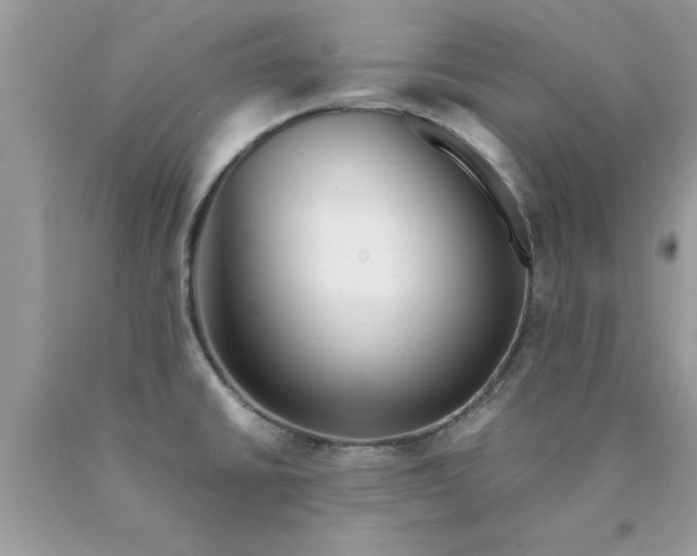 X0000090471430200707272248