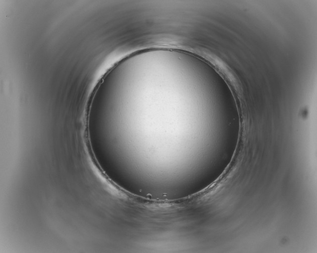 X0000090471432200707272248