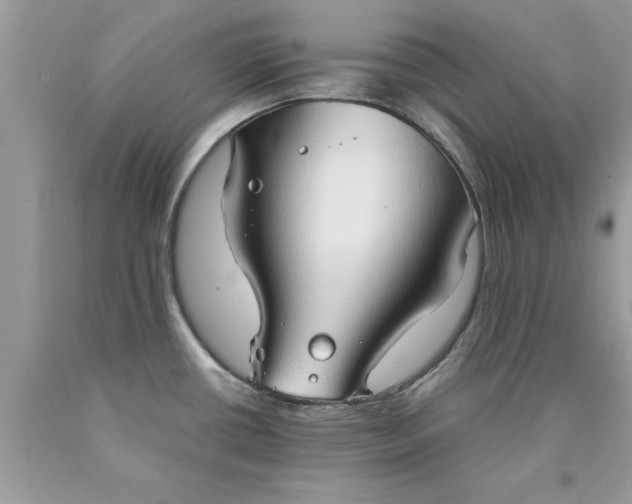 X0000090471434200707272248