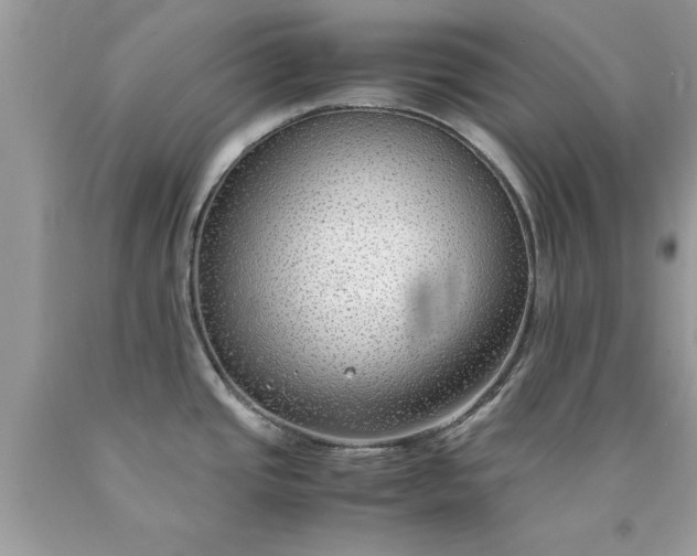 X0000090471437200707272248