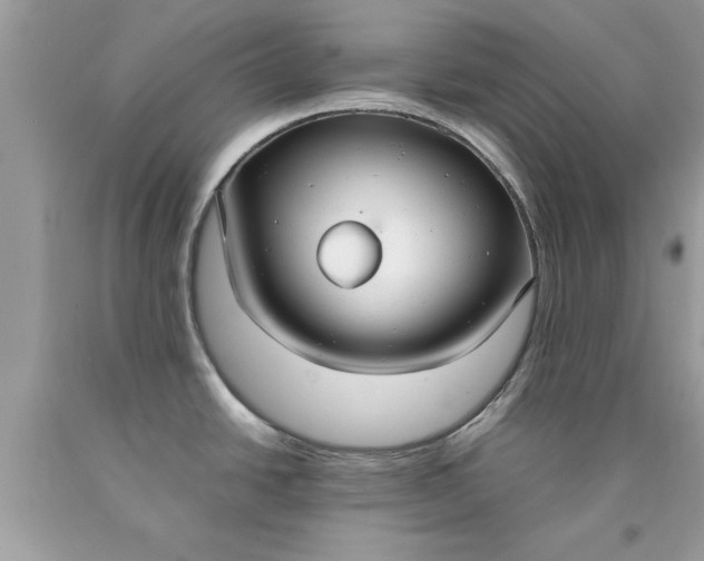 X0000090471438200707272248