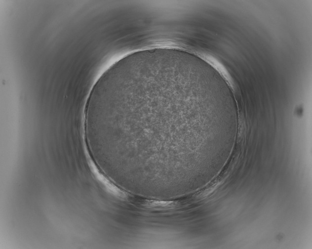 X0000090471439200707272248