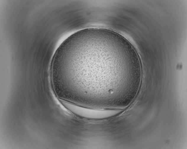 X0000090471440200707272248