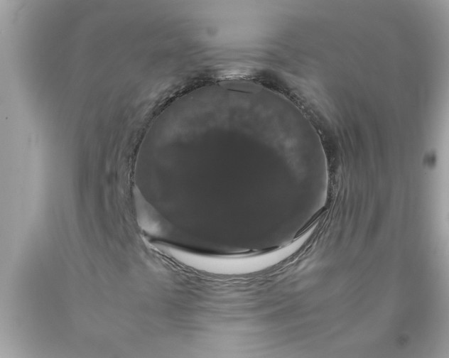 X0000090471441200707272248