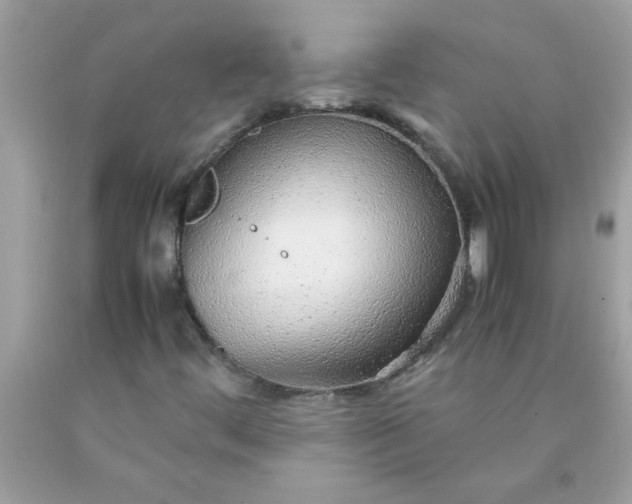 X0000090471444200707272248