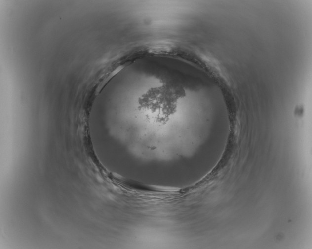 X0000090471445200707272248