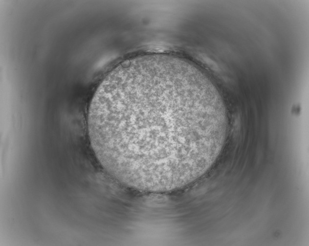 X0000090471446200707272248