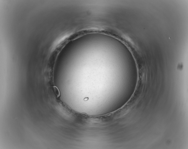 X0000090471448200707272248