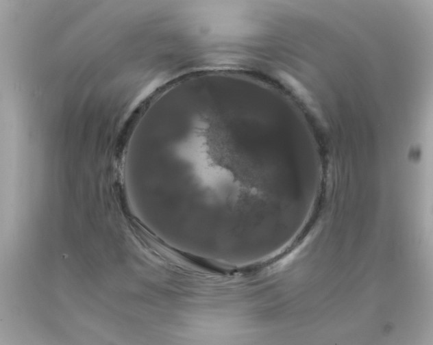 X0000090471449200707272248