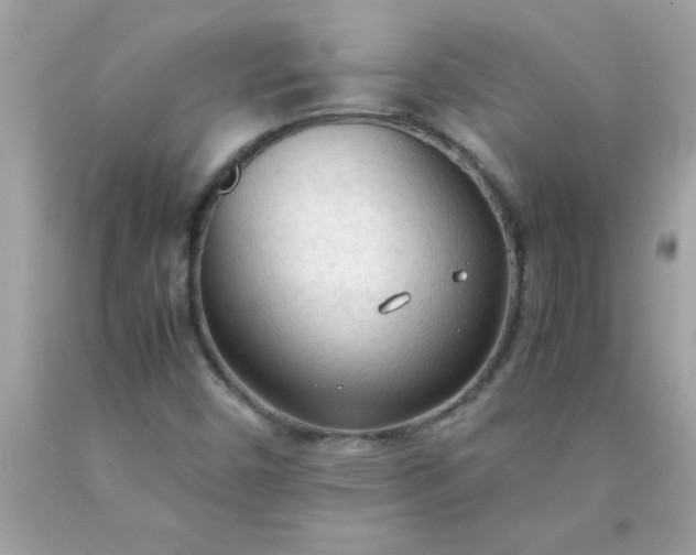 X0000090471450200707272248