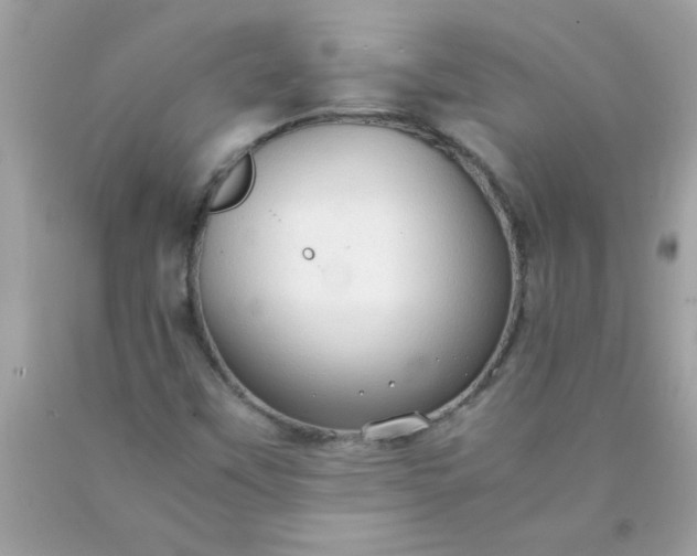 X0000090471451200707272248