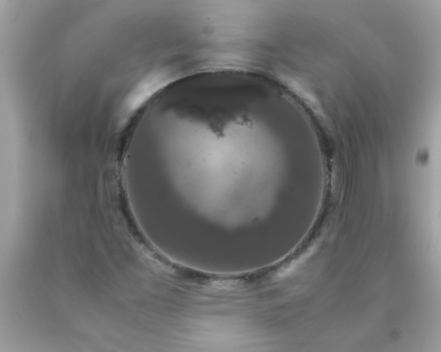 X0000090471453200707272248