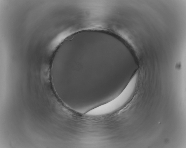 X0000090471455200707272248