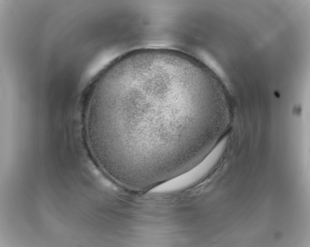 X0000090471456200707272248