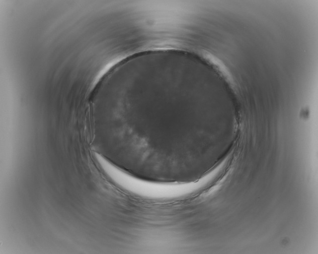 X0000090471457200707272248