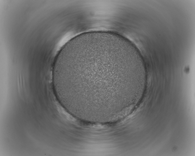 X0000090471459200707272248