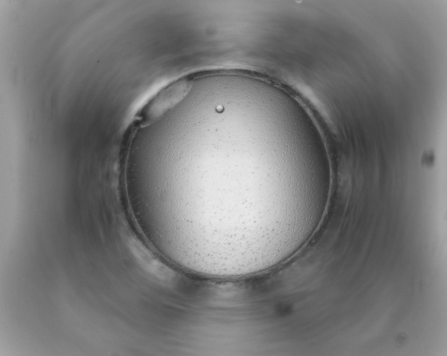 X0000090471460200707272248